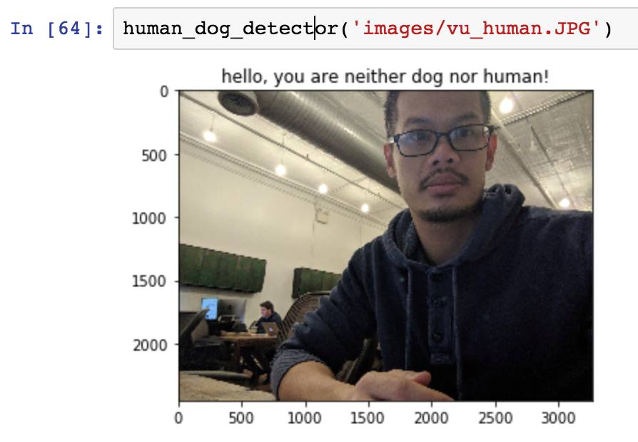 Alex - software engineer